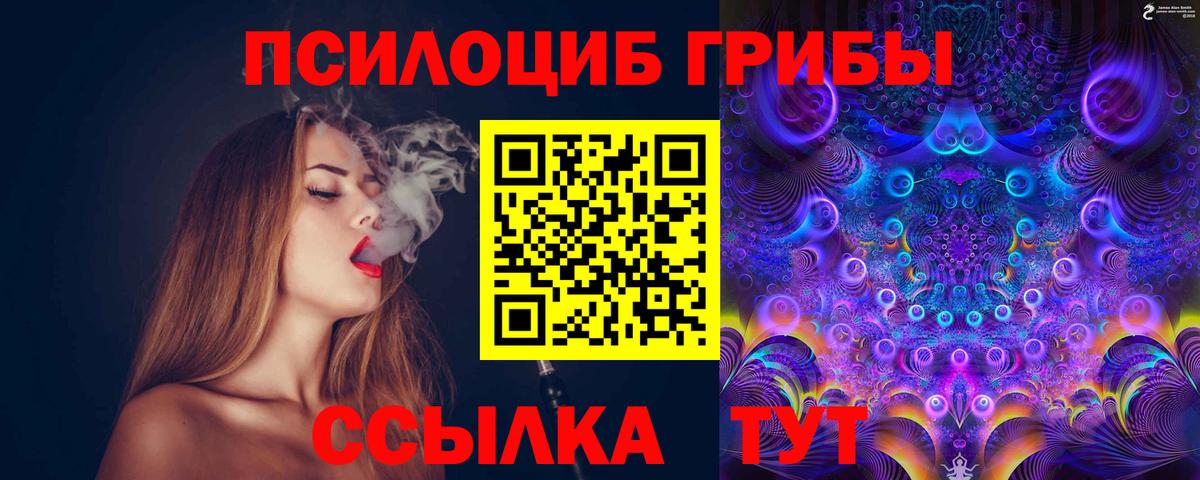 Балаково  Псилоцибиновые грибы Cubensis  Вход с VPN 